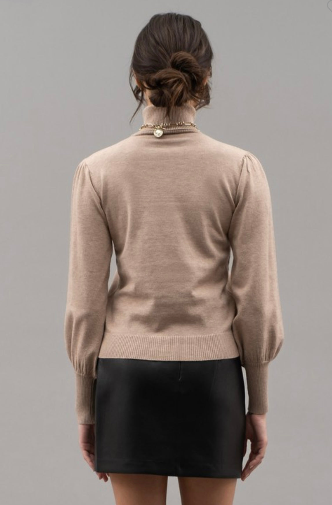 Turtle Neck Knit Top