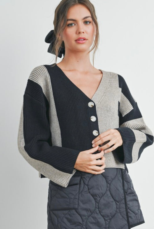 Colorblock Cardigan 2 Colors