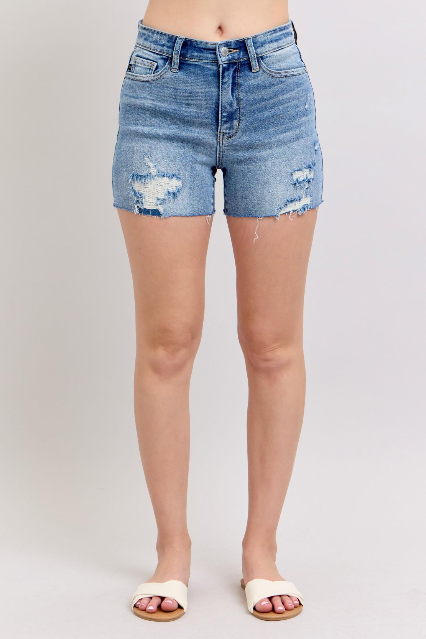 High Rise Distressed Shorts