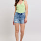 High Rise Distressed Shorts