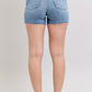 High Rise Distressed Shorts